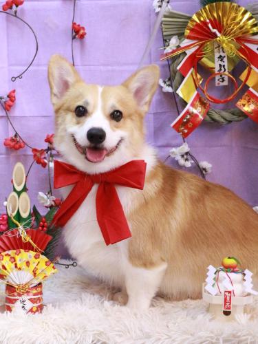 20230106こぺまるくん